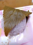 ぎゅーとらさんの桜餅