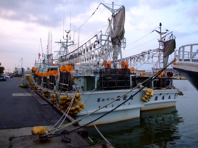 漁船 イカ 釣り