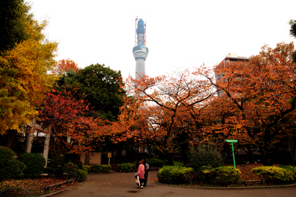 skytree101126_10.jpg