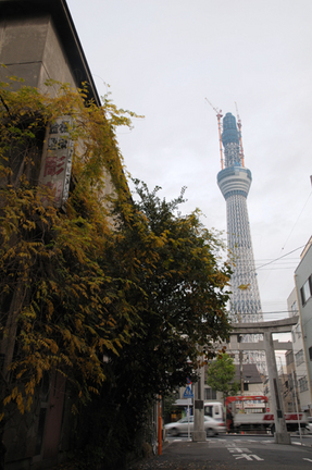 skytree101126_14.jpg