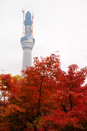 skytree101126_8.jpg