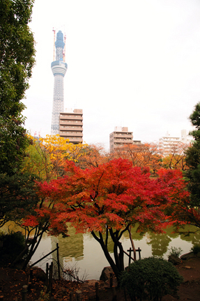 skytree101126_9.jpg