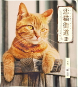 恋猫街道Ⅱ.JPG