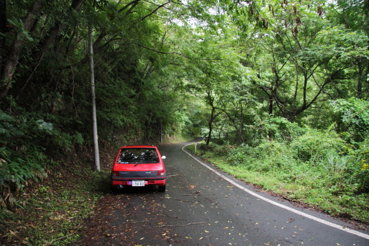 大好きな山道