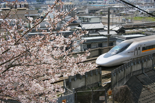 桜とレールスター