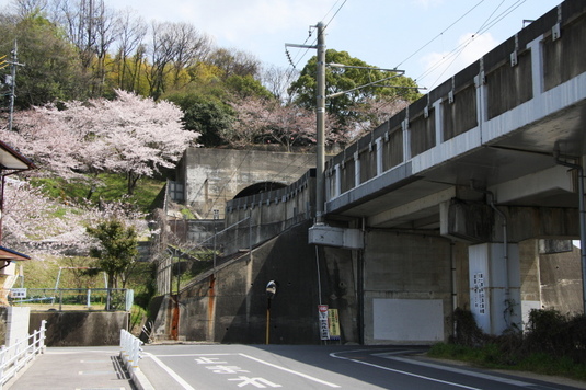 トンネルの上に公園がある