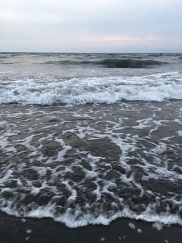 S_7879511410386.jpg