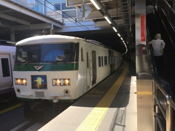 S_8458460797878.jpg