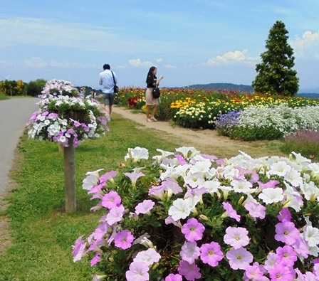 あわじ花さじき13.jpg