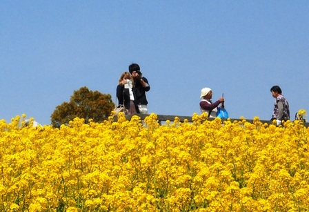 あわじ花さじき18.jpg