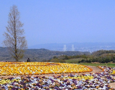 あわじ花さじき21.jpg