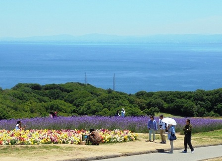 あわじ花さじき6.jpg