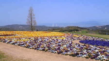 あわじ花さじき8.jpg