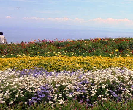 あわじ花さじき8.jpg