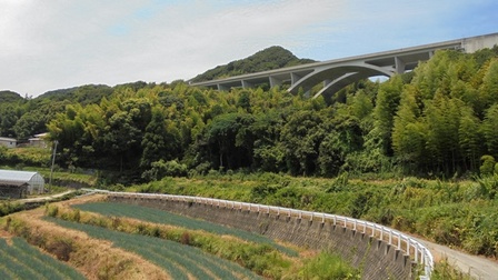 楠本断層14.jpg