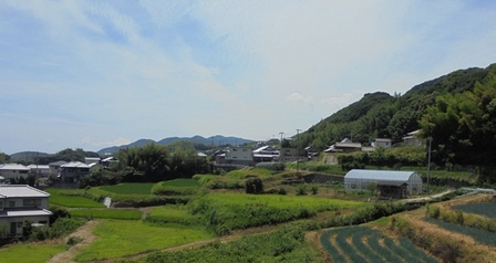 楠本断層15.jpg
