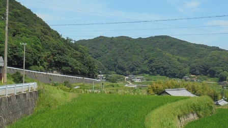 楠本断層18.jpg