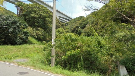 楠本断層27.jpg