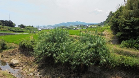 楠本断層28.jpg