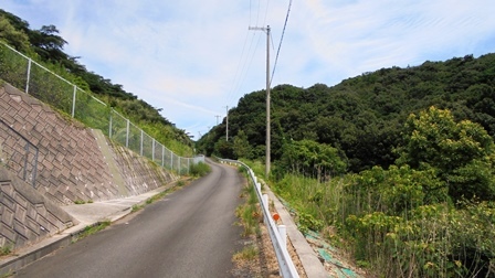 楠本断層29.jpg