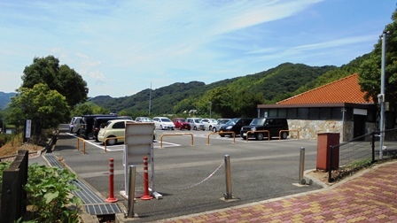 楠本断層6.jpg