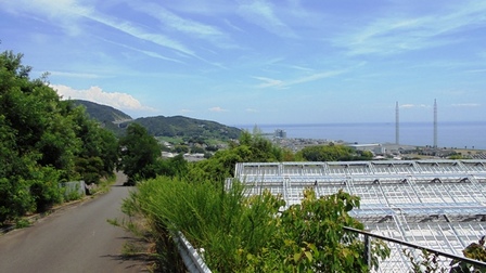 楠本断層9.jpg