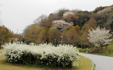 淡路ハイウェイオアシス15.jpg