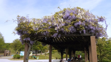 淡路島公園13.jpg