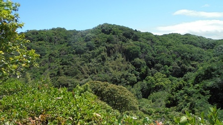 淡路島公園7.jpg