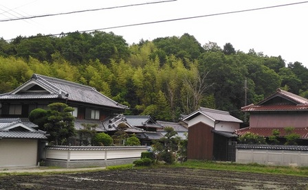 県道85号線6.jpg