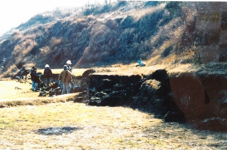 野島平林地区13.jpg