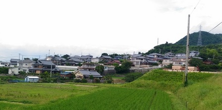 野島平林地区15.jpg