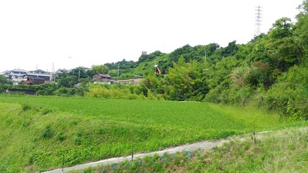 野島平林地区18.jpg