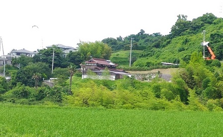 野島平林地区19.jpg