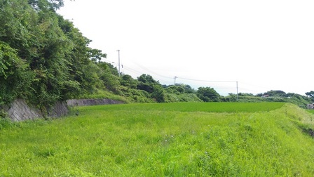 野島平林地区20.jpg