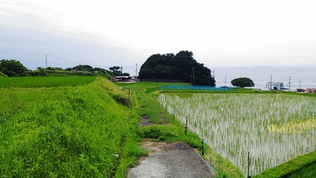 野島平林地区21.jpg