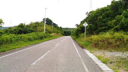 野島平林地区22.jpg