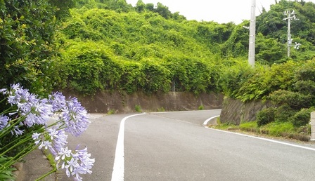 野島平林地区3.jpg