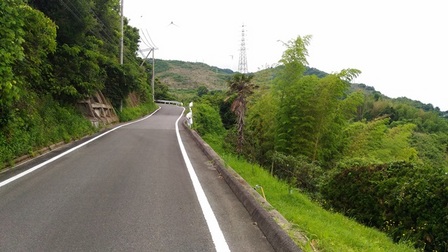 野島平林地区5.jpg