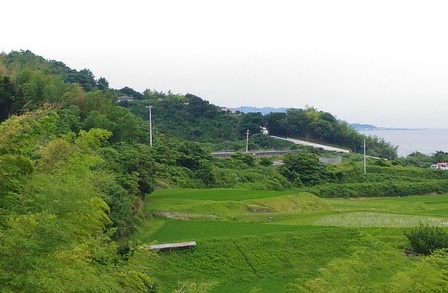 野島平林地区7.jpg