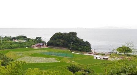 野島平林地区8.jpg