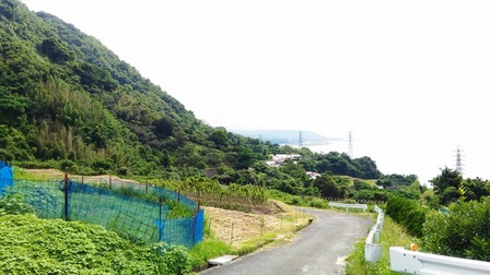 野島断層11.jpg