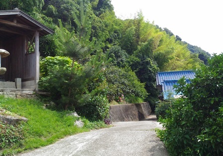 野島断層15.jpg