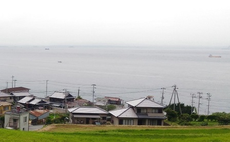 野島断層20.jpg