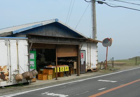 野島断層5.jpg