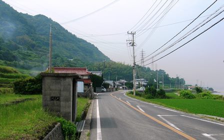 野島断層6.jpg