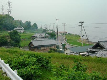 野島断層8.jpg