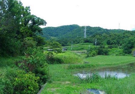 野島蟇浦地区13.jpg