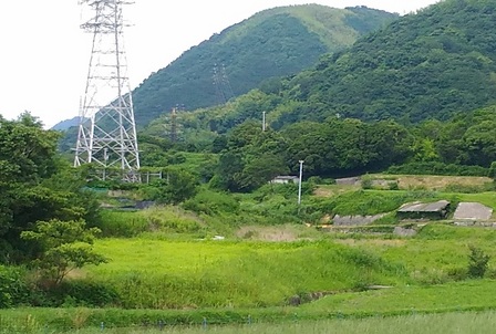 野島蟇浦地区14.jpg