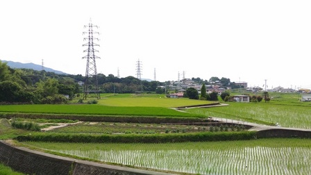 野島蟇浦地区5.jpg